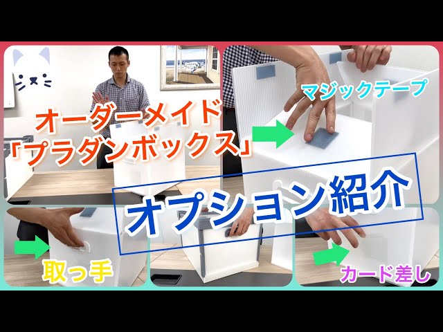 プラダンボックス】オーダーメイドのプラダンボックス！オプションを