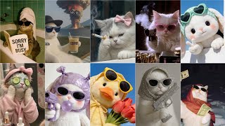 😂Cutest insta Dp Photo/🤣Instagram Dpz For Girls Profile Pics/🔥girl dp pic stylish/ 👀sassy cat dpz screenshot 2