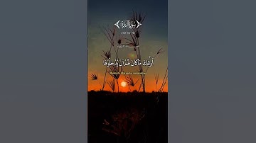 📿 ومن أظلم ممن منع مساجد الله 🕋 | تلاوة خاشعة#اكسبلور#duet#القرإن_الكريم#لايك#قرآن ٠