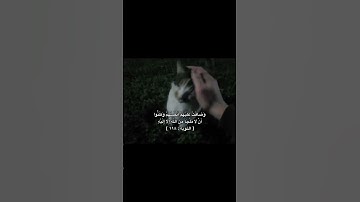 اكتب شي تؤجر عليه ولو كلمه تشفع لك يوم القيامه🤍#اجر_لي_ولك#الشيخ_المنشاوي#تلاوة#قرآن #اكسبلور#لايك
