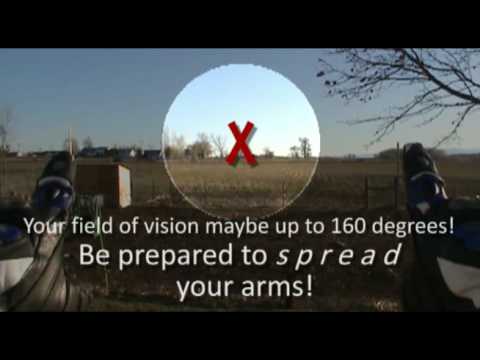 » Streaming Online Peripheral Vision