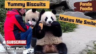 Smart Panda Giving Nanny A ‘Smile’, Asking For More Biscuits～| iPanda How Smart Is A Panda