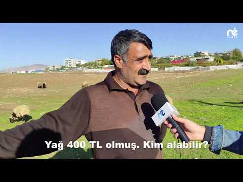 ''Böyle Devam Ederse Hayvanları Satmak Zorunda Kalacağız''