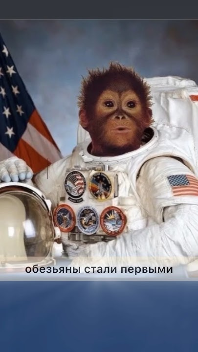 Первые животные-космонавты - обезьяны или Белка и Стрелка? #космос # ...