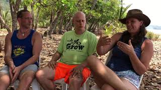 Woven Green Sound Healing Retreats at Farm of Life, Costa Rica