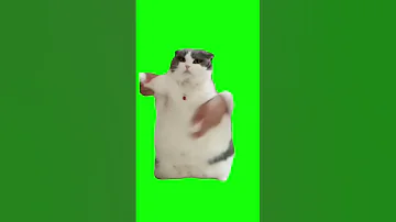 Cat Dancing To Wop Green Screen Shorts 猫 猫ミーム ダンス猫 猫マニア 素材 Catmemes Greenscreen Cat Catdancing 