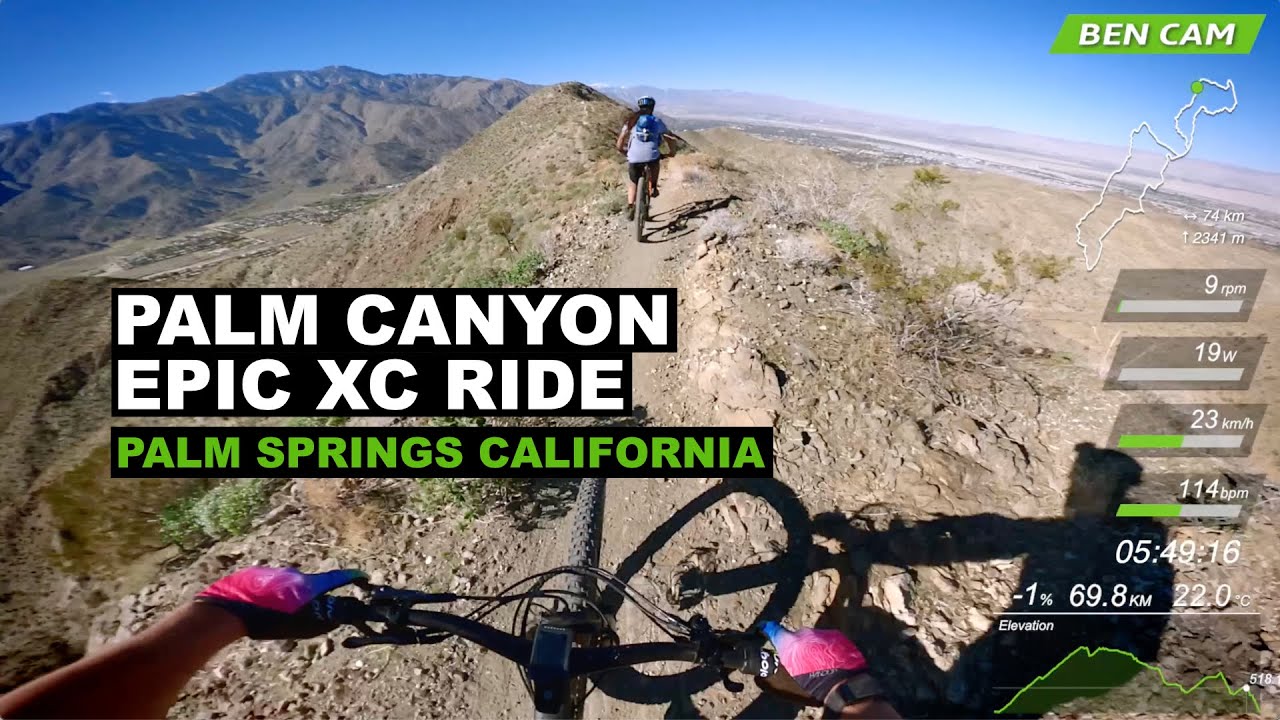 mountain bike tours palm springs