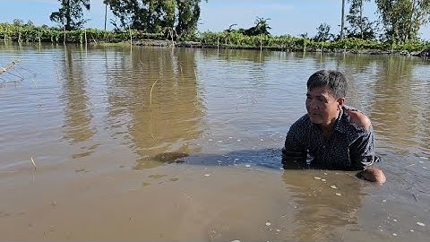 Take her sister to buy flood water to catch perch and snakehead fish in the fields