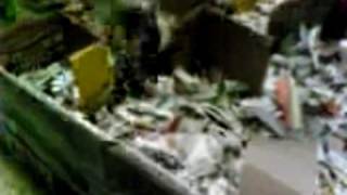 VID00453.avi