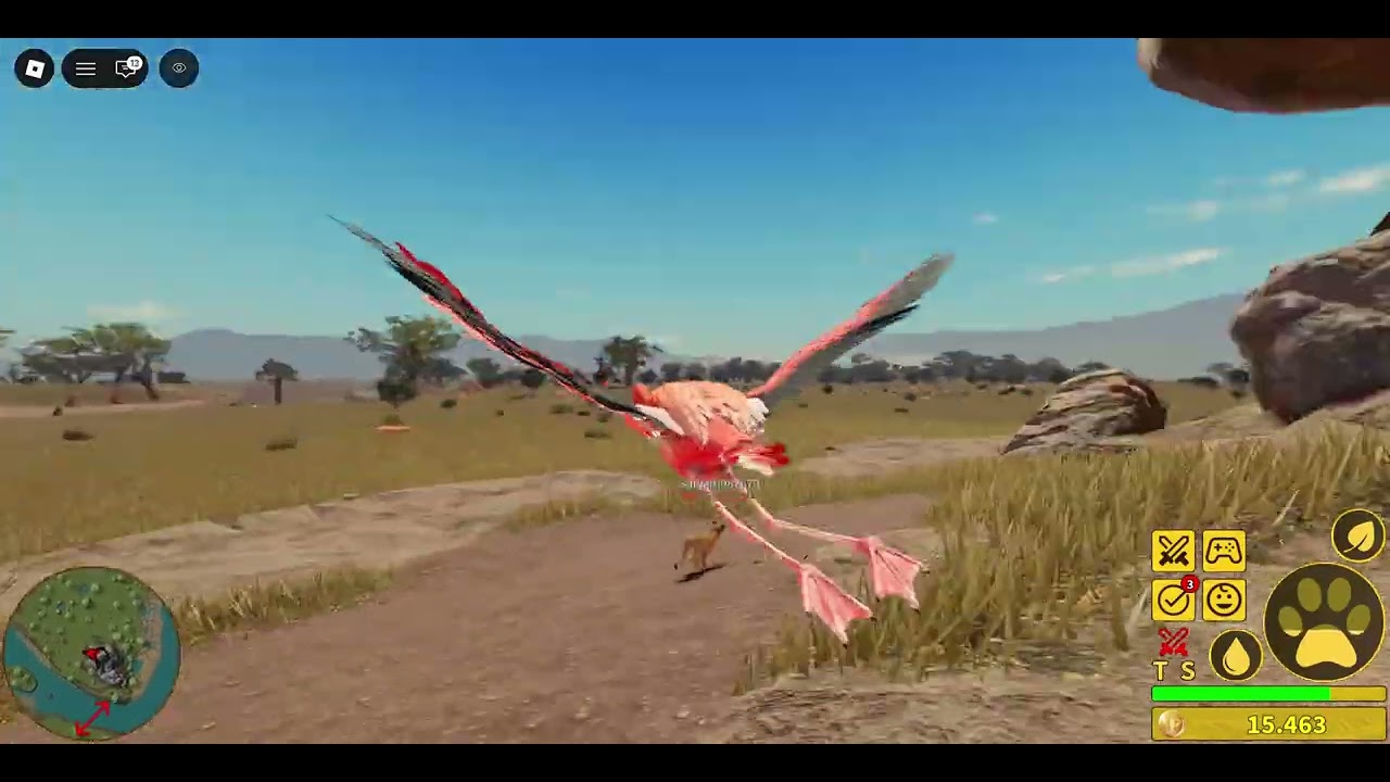 flamingo ksos savanah life roblox