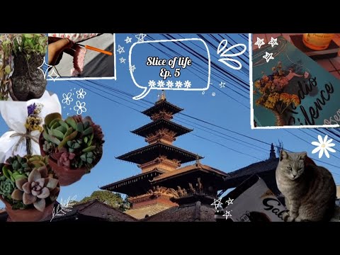 Slice of life 💫 |studying, gardening, crochet|