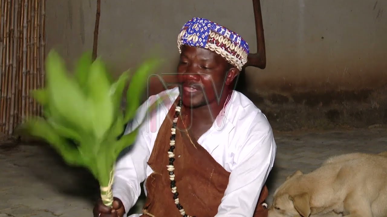 Engeri ab'edda gye baasinzangamu mu nnono z'obujjajja | NAZZIKUNO