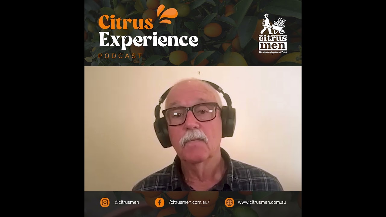 Citrus Experience - Why Buying a Grafted Citrus Matters