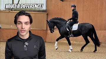 Riding My Young Stallion for the Second Time, a Special Delivery + the Start of the Stable Installs