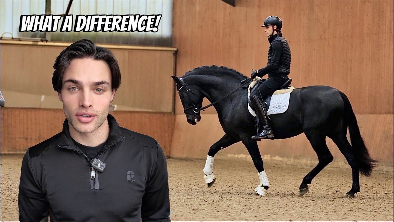 Riding My Young Stallion for the Second Time, a Special Delivery + the Start of the Stable Installs