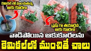 Chemical Vegetables Video Goes to Viral in Social Media || Bezawada Media