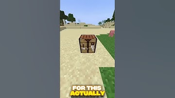 Minecraft but my inventory randomizes every 30 seconds