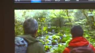 20131114-3法人認可40周年記念