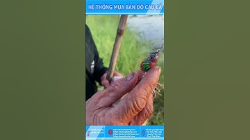 BỘ CẦN CÂU TỰ CHẾ CỦA TIỀN BỐI#Youtube shorts Đồ Câu Hải Đăng