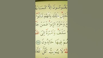سورة البقرة الأية 275 القارئ مشاري راشد العفاسي