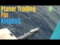 Planer Trolling for KINGFISH