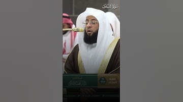 تلاوة أيوبية بديعة من سورة النحل😍♥️ | تلاوة فضيلة الشيخ #بدر_التركي