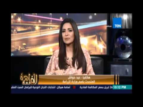 مساء القاهرة - مشادة بين المتحدث بإسم وزارة الزراعة و النائب / محمد عبده بسبب تدهور أحوال الزراعة