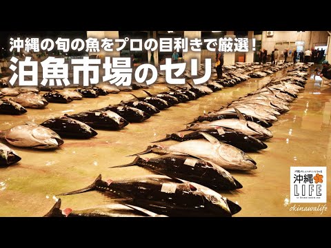 沖縄life 泊魚市場のセリ風景 プロの目利きで厳選 Youtube