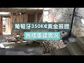 葡萄牙350K歐元黃金簽證舊樓重建系列 - Our 350K GV Renovation Updates EP3