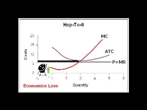 lump sum subsidy