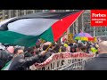 BREAKING NEWS: Massive Pro-Palestinian Protest Held Outside Biden