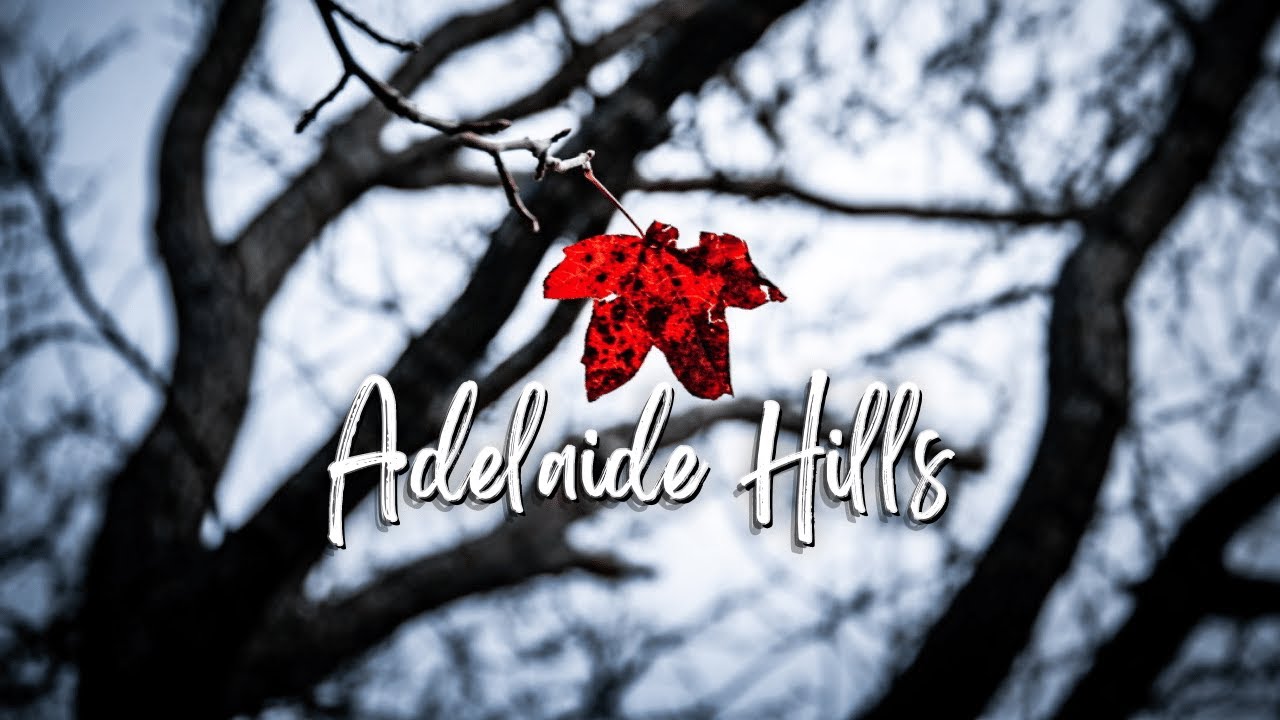 Adelaide Hills - Weekend Away in the Best B&B Accommodation in Aldgate