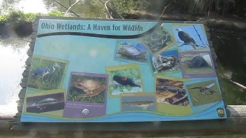 Cincinnati Zoo and Botanical Garden. Video 2