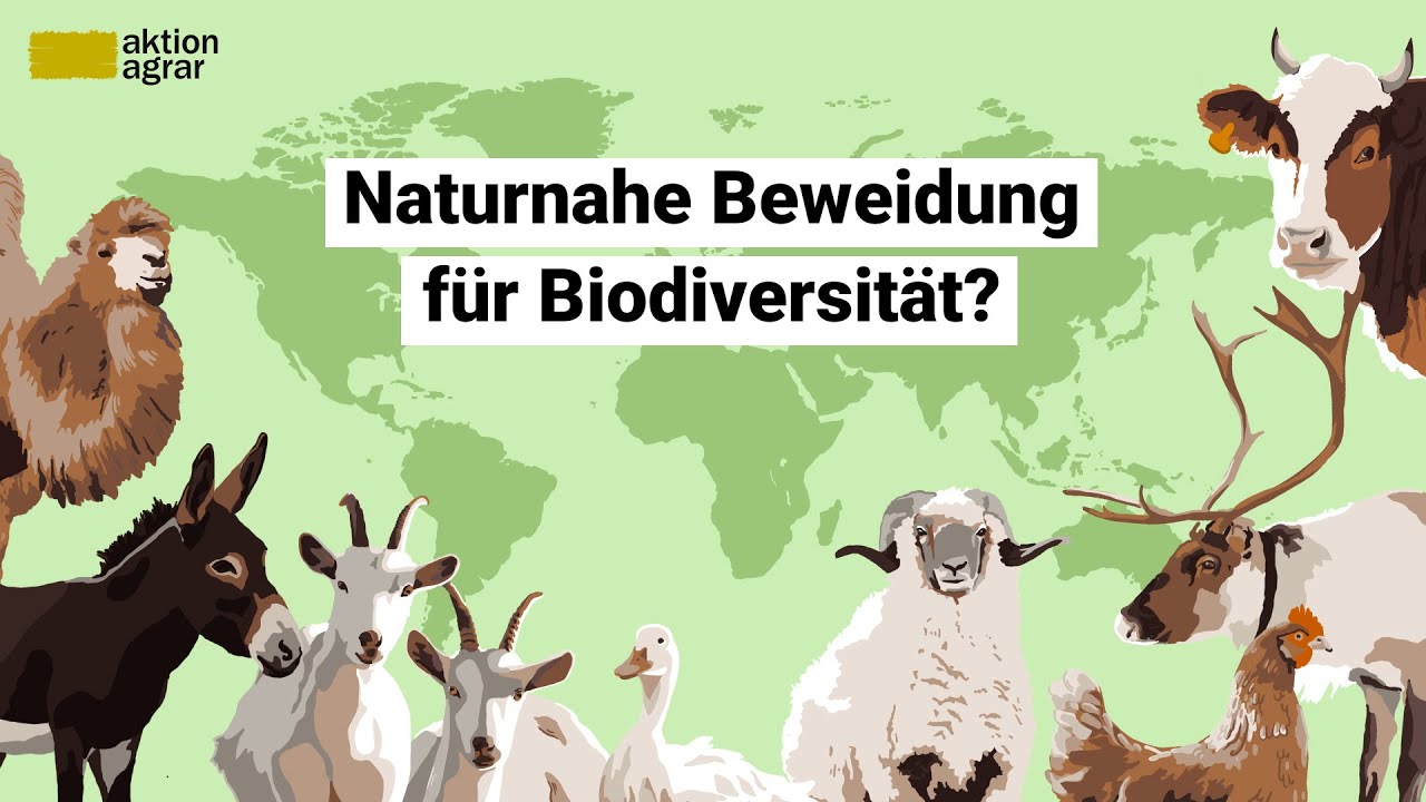 Naturnahe Beweidung als Schlüsselfaktor für unsere Biodiversität? | Sommerseminar 2025