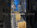 Bag inserter Machine Bucket Butter Packaging Machine Bucket Bag Inserter Machine Butter Packaging