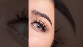 Light Brown Color Contacts Non Prescription - Wear Test on Dark Eyes