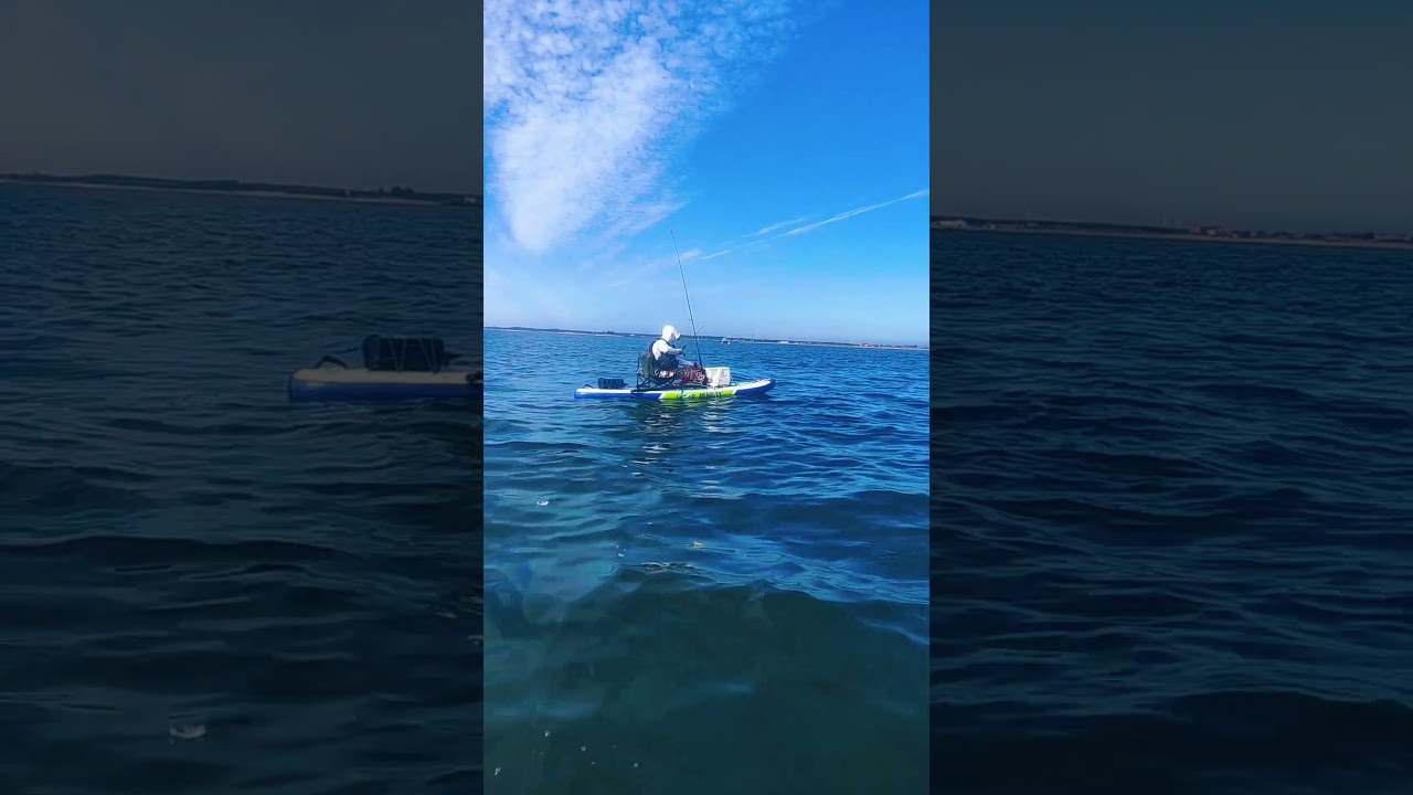 Paddle board electric propulsion, fishing artifact