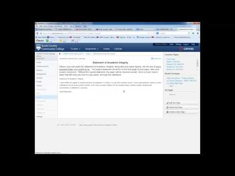 COMP110 Statement of Academic Integrity Screencast