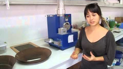 Heirloom, Organic, Hybrid - what does it all mean?