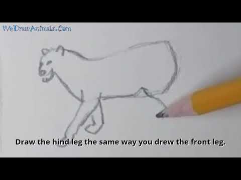 How to Draw a Leopard In 12 EASY Steps - GREAT for Kids & Beginners