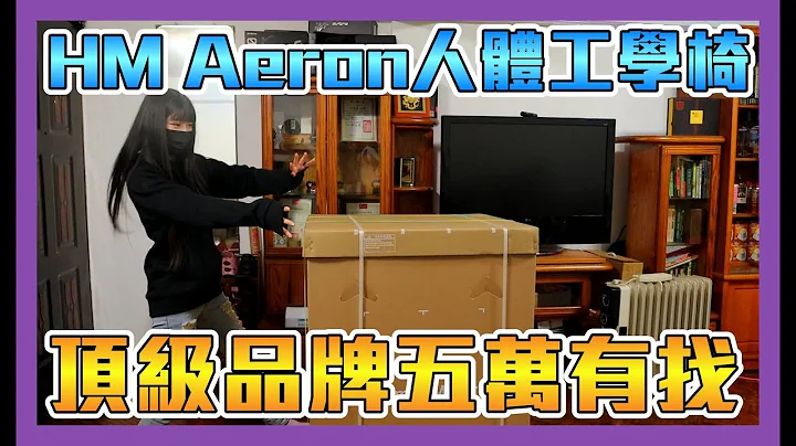 《Herman Miller》五萬塊的頂級人體工學椅，一個不小心腦波弱 feat.可凡 貓毛 - 天天要聞
