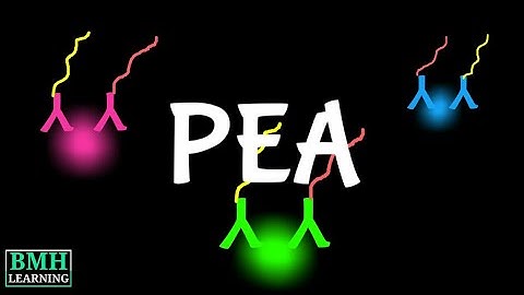 Proximity Extension Assay | PEA Technology | Olink Technology | Olink PEA |  Analysis |