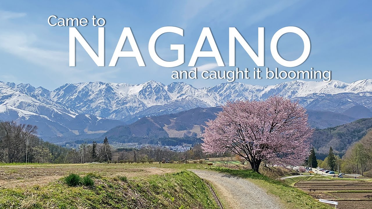 Nagano in Bloom | Japan Travel Vlog