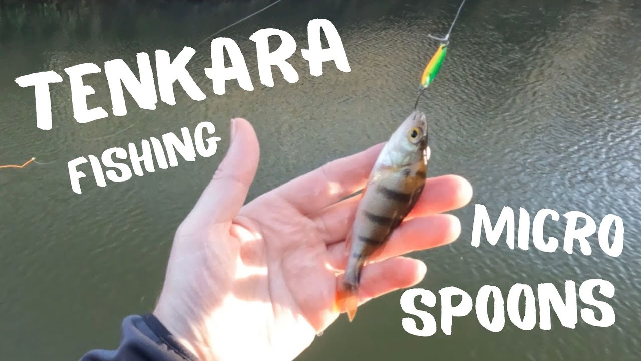 Tenkara Fishing with Micro Spoon 