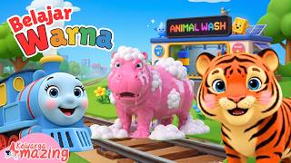 Learning Animal Colors for Toddlers 🚂🐯 | Choo Choo Train & Colorful Magic Wash Preschool Kinderga...