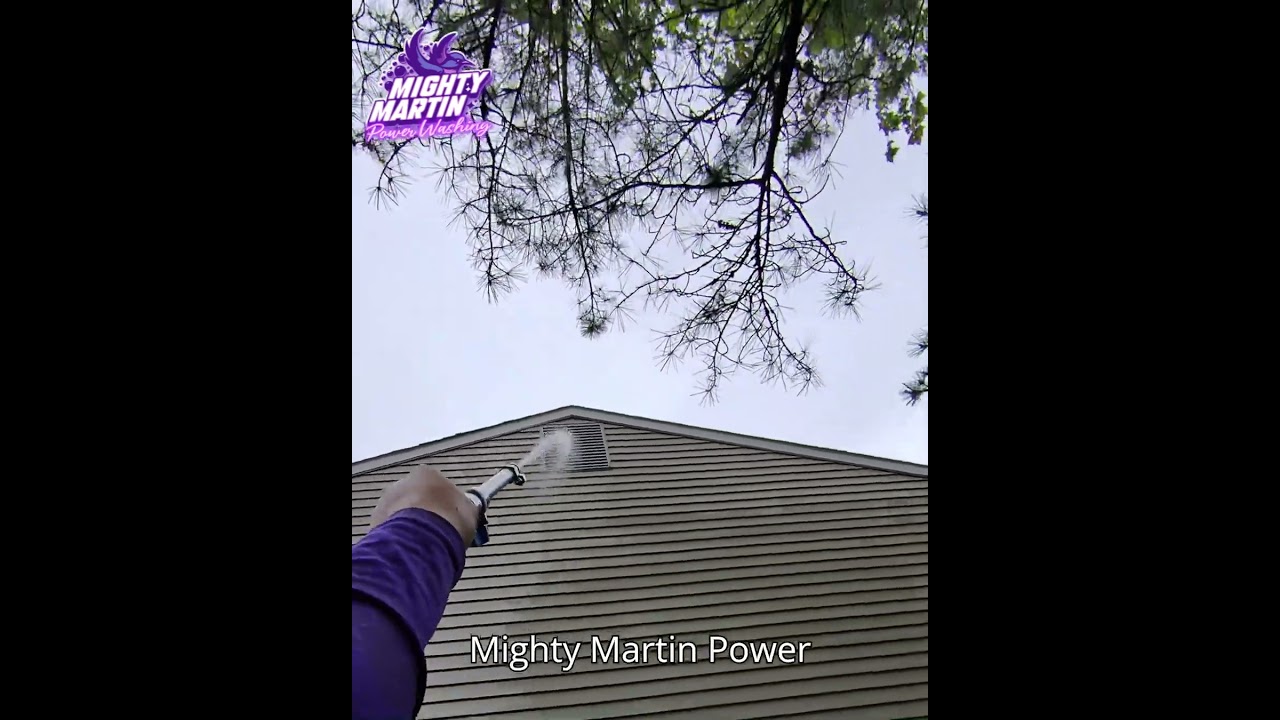 Mighty Martin Power Washing: The Ultimate Guide to Soft Washing! 