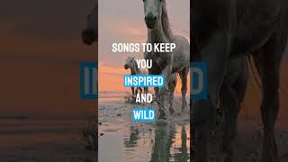 Wild Journey Music #music #micahthunder