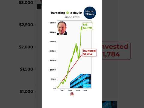 POV You Invested 1 Day In Morgan Stanley Morganstanley Investments Stockmarket