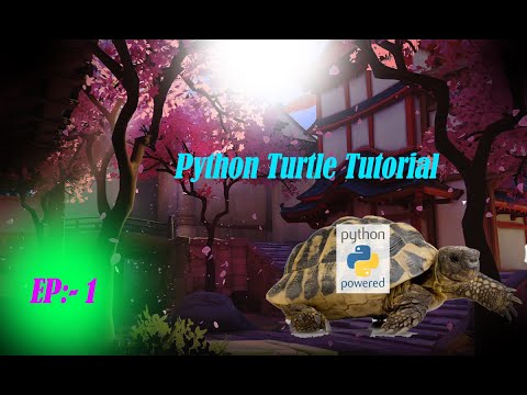 Python turtle tutorial | Python Turtle 🐢 | very simple |