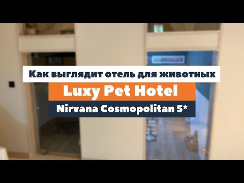 Как выглядит отель для животных Luxy Pet Hotel в Nirvana Cosmopolitan 5*? | tooroom